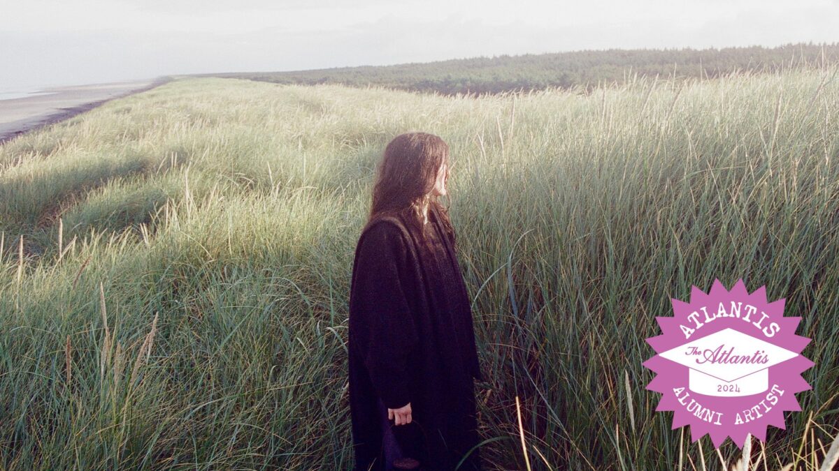 Searows - Death in the Business of Whaling-image