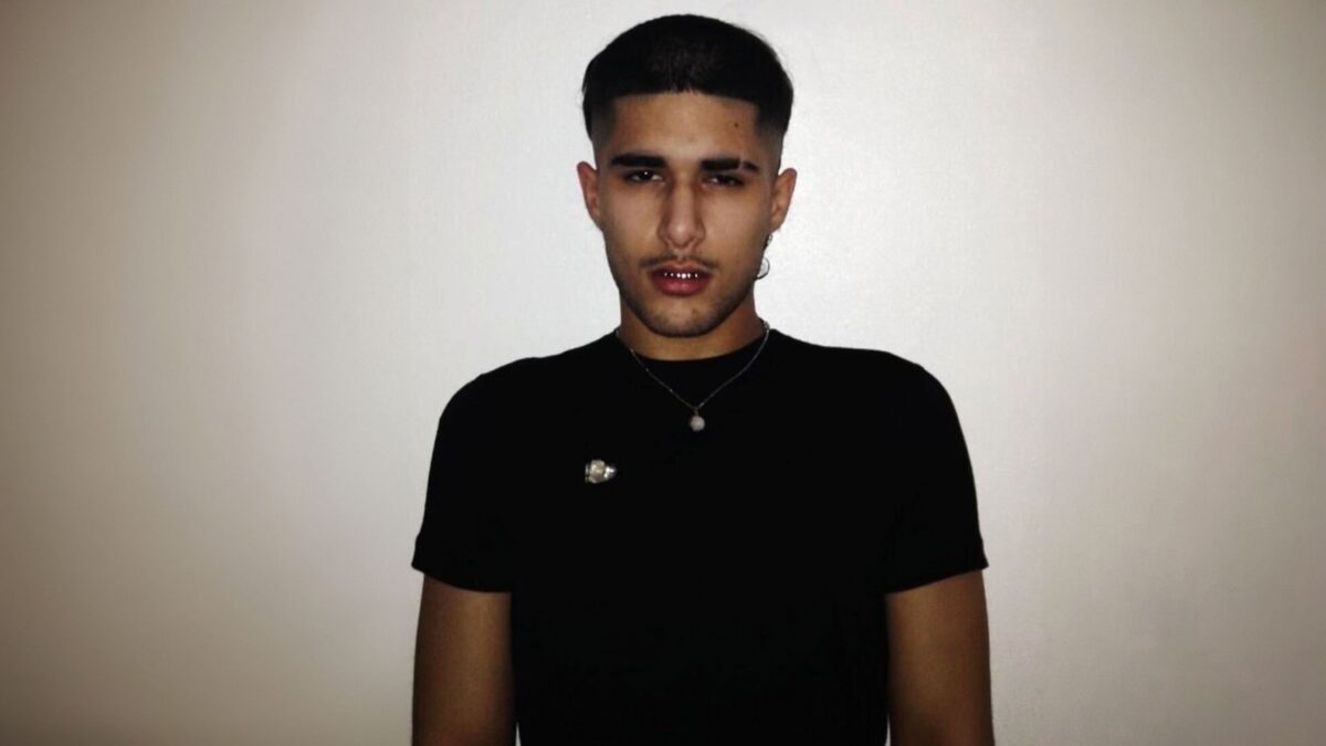 fakemink: a Terrible Beauty . - The Tour-image