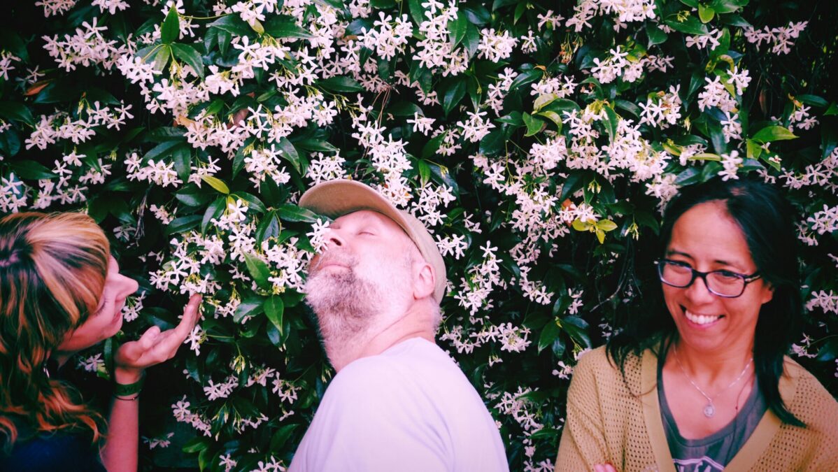 Built To Spill-image